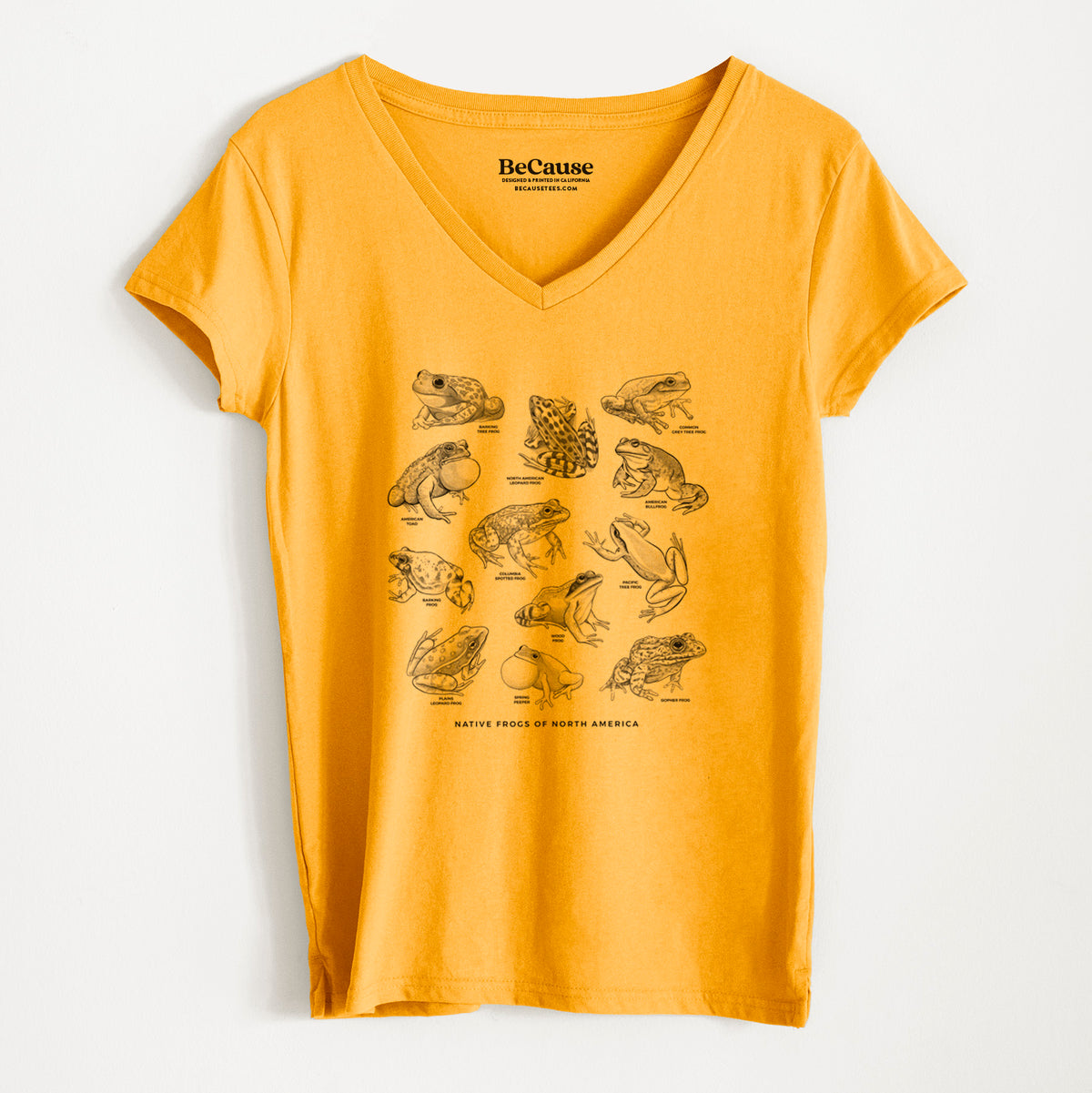 An Illustrated Guide to Native Frogs of North America - Women&#39;s 100% Recycled V-neck