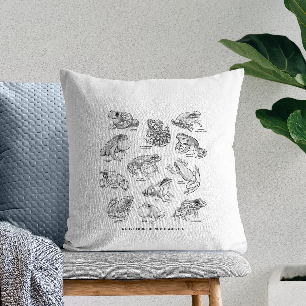 An Illustrated Guide to Native Frogs of North America - Throw Pillow Cover