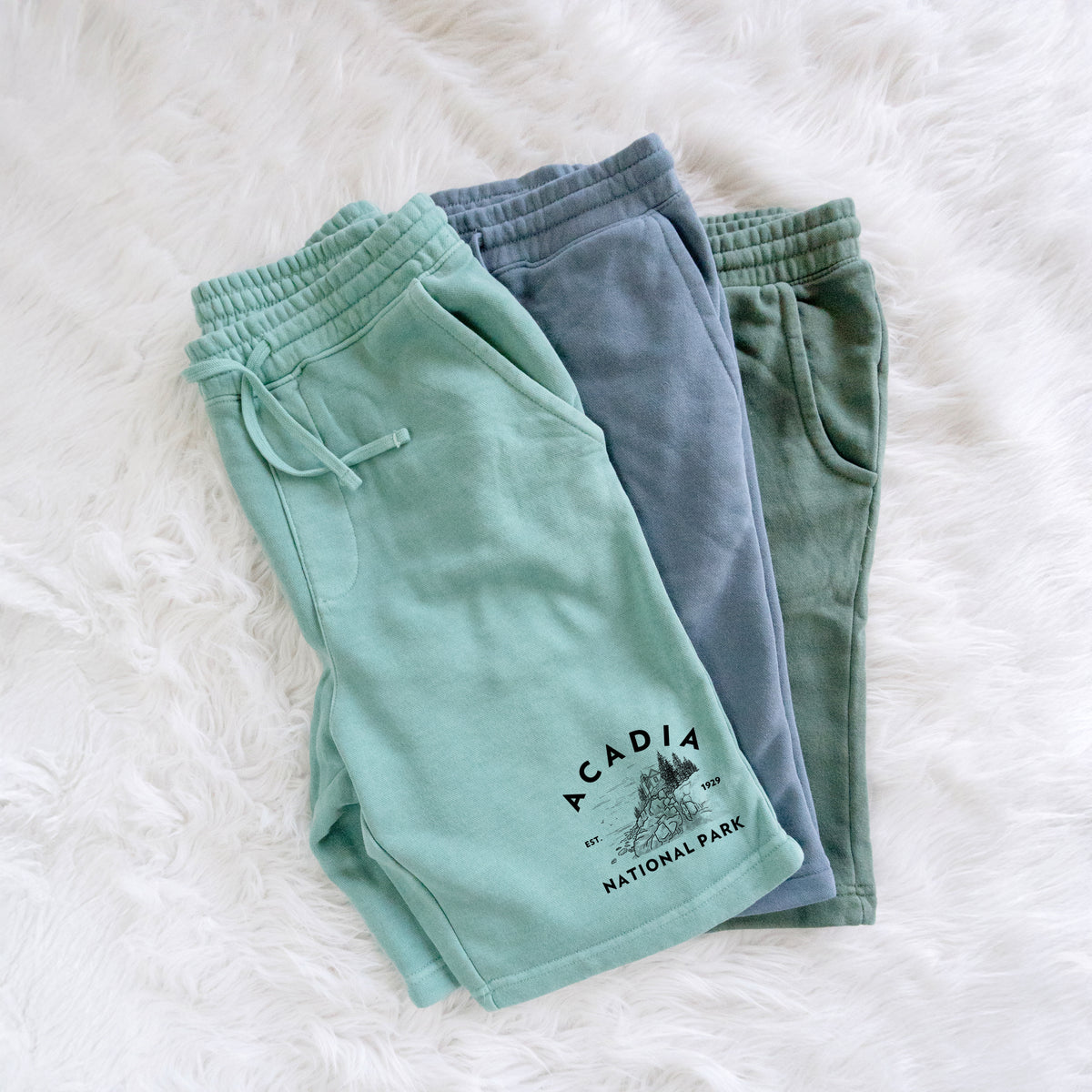 Acadia National Park - Unisex Pigment Dyed Shorts