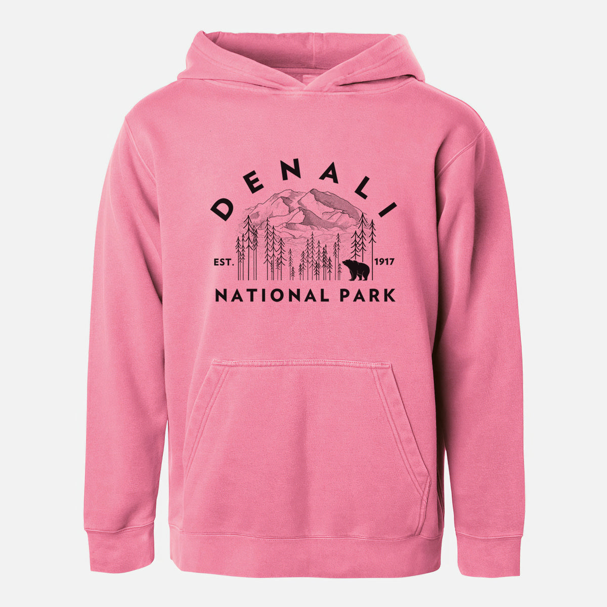 Denali National Park - Youth Pigment Dyed Hoodie