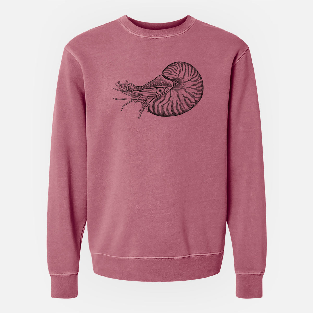 Palau Nautilus - Nautilus belauensis - Unisex Pigment Dyed Crew Sweatshirt