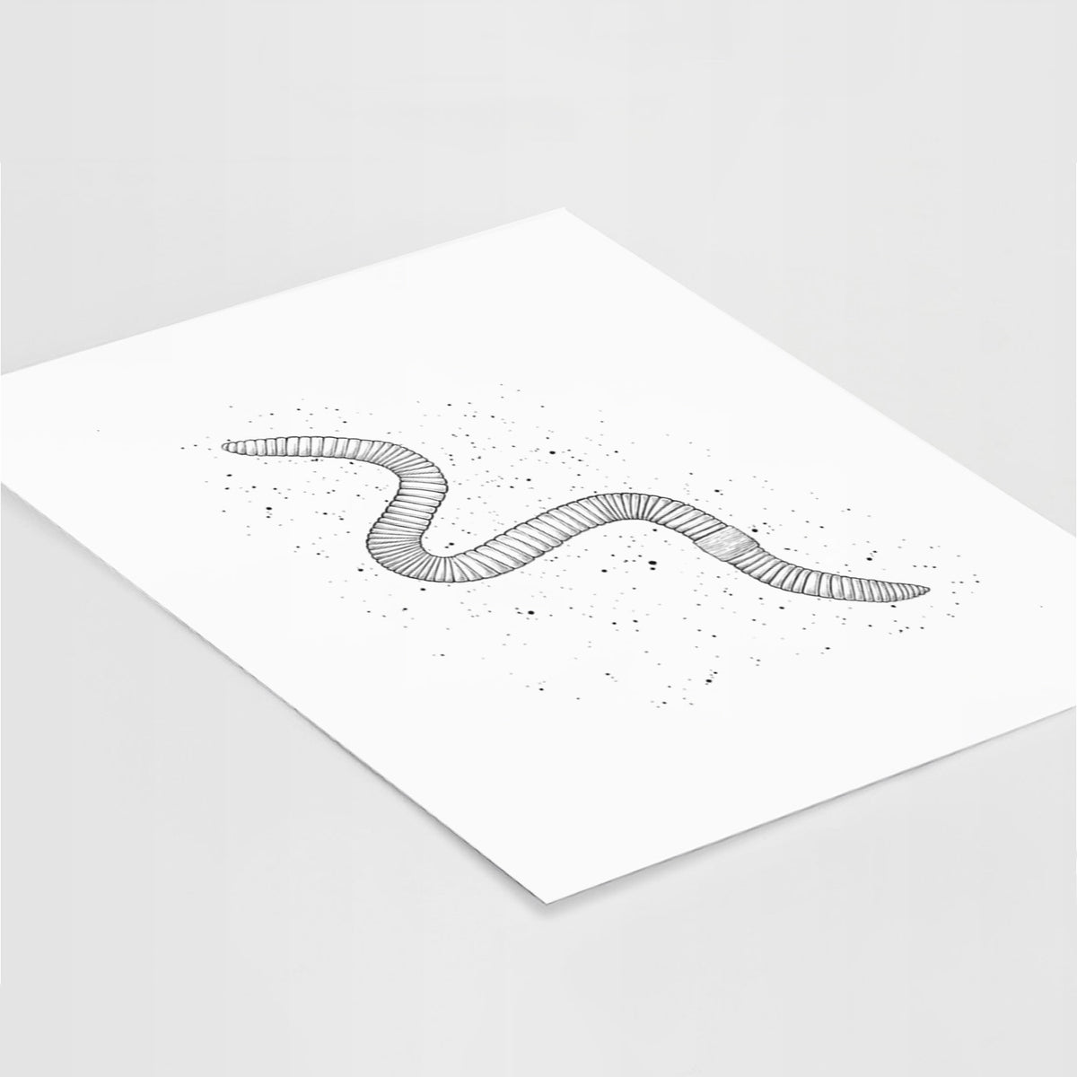 Common Earthworm - Nightcrawler - Lumbricus terrestris - Fine Art Print