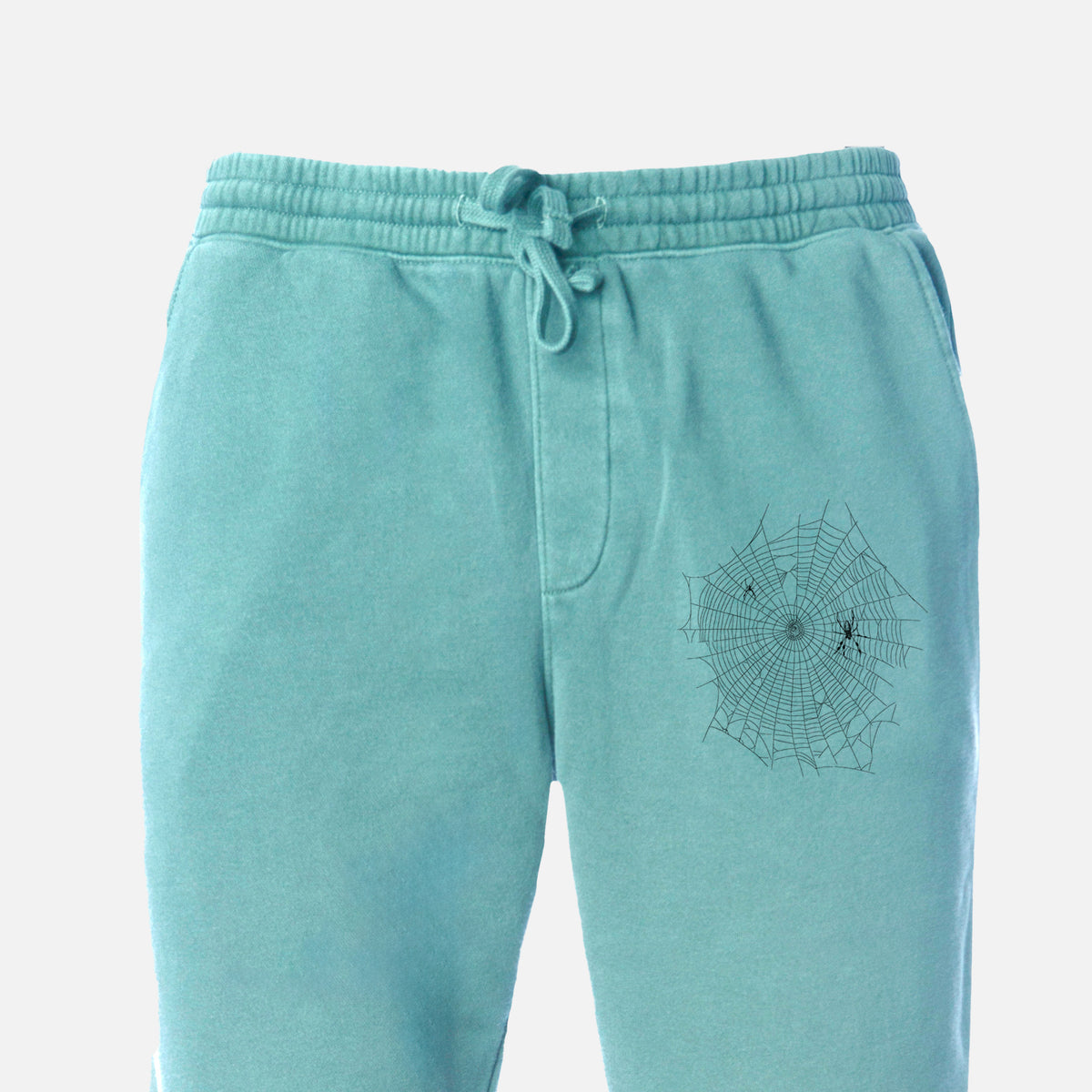 Golden Silk Orb-weaver Spider Web - Trichonephila clavipes - Unisex Pigment Dyed Sweatpants