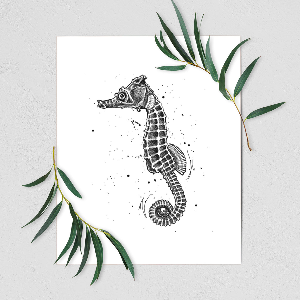 Hippocampus ingens - Pacific Seahorse - Fine Art Print