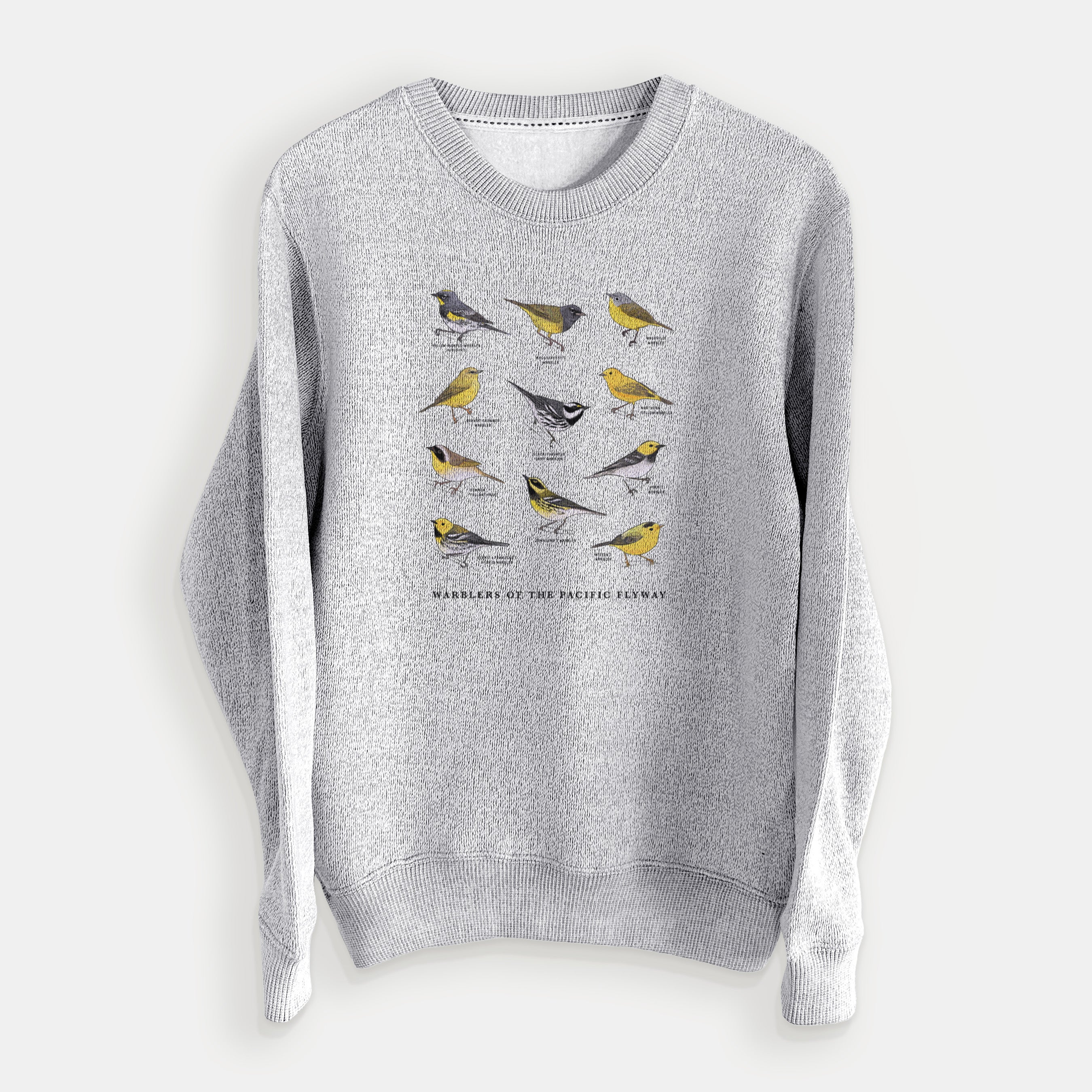 Warblers of the Pacific Flyway - Knit Sweatshirt