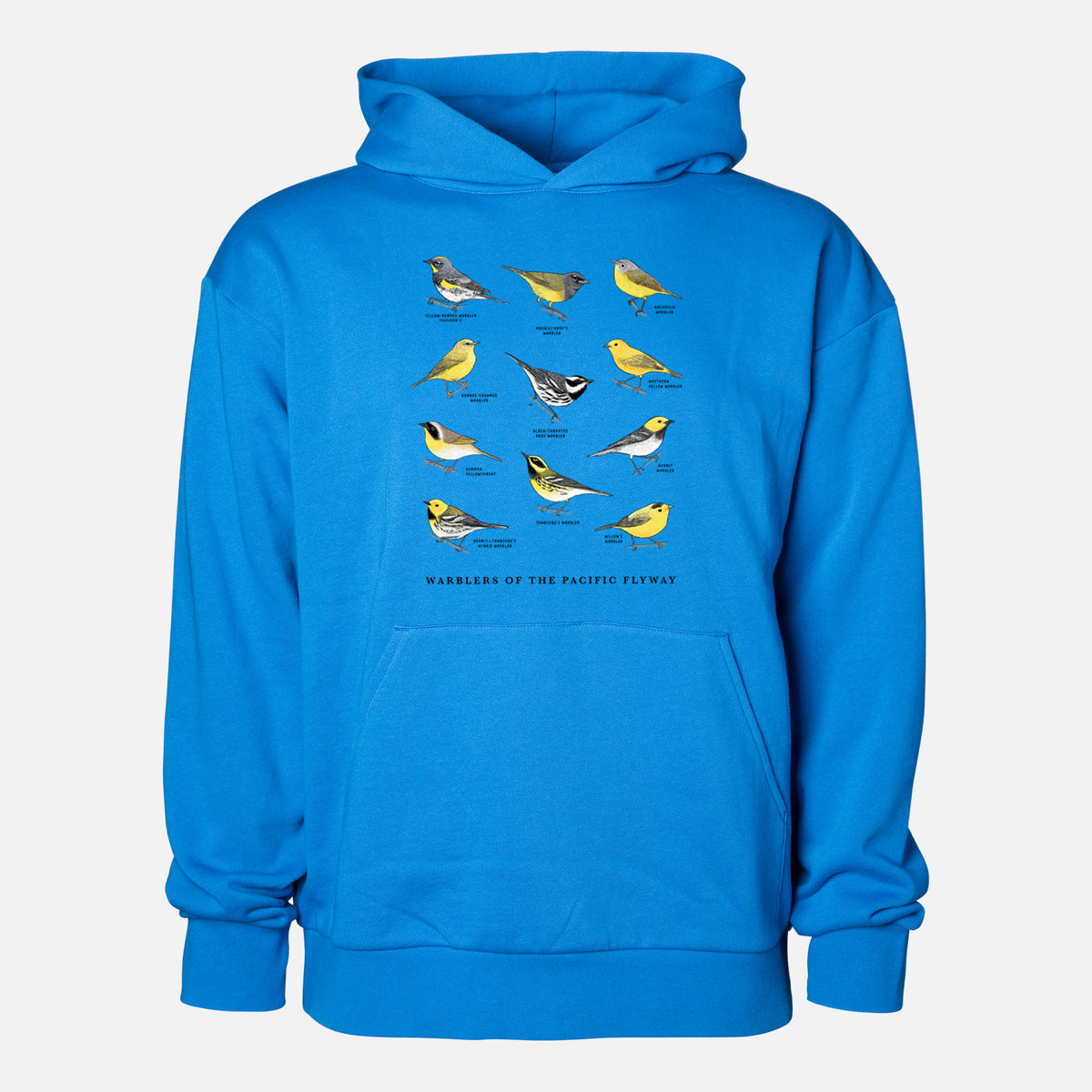 Warblers of the Pacific Flyway - Statement Midweight Hoodie in Azure Blue, shown from the front with the design printed on the chest above a front kangaroo pocket.