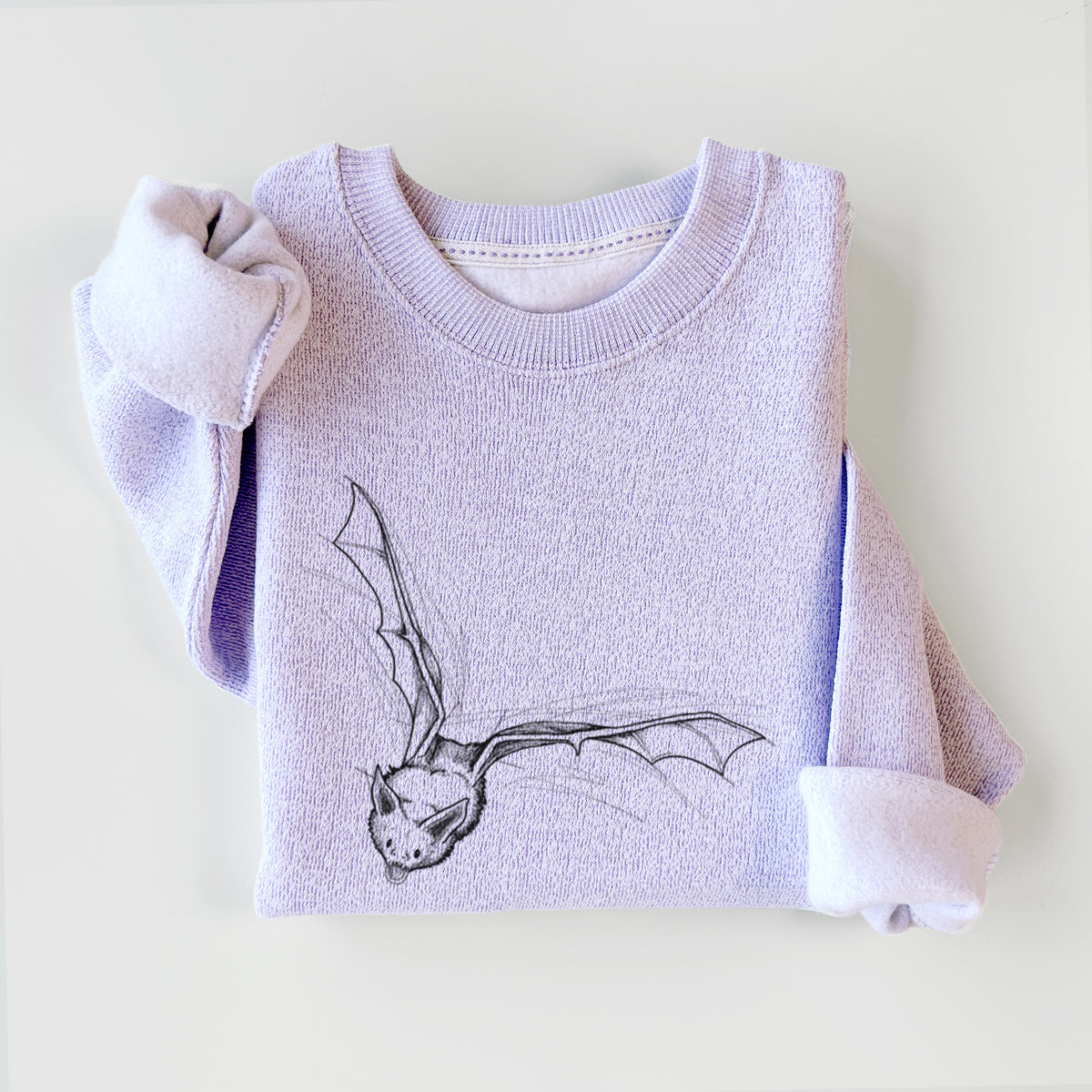 Pallid Bat - Antrozous pallidus - Knit Sweatshirt