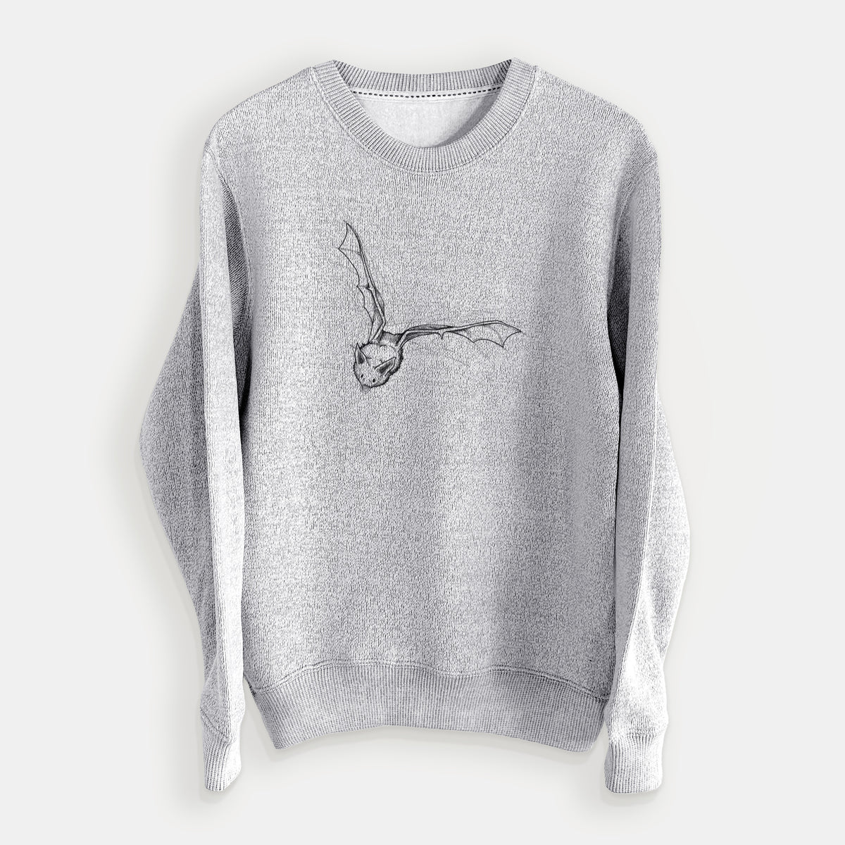 Pallid Bat - Antrozous pallidus - Knit Sweatshirt