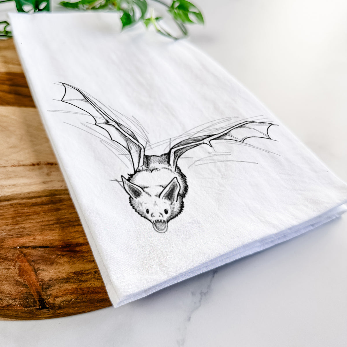 Pallid Bat - Antrozous pallidus Tea Towel