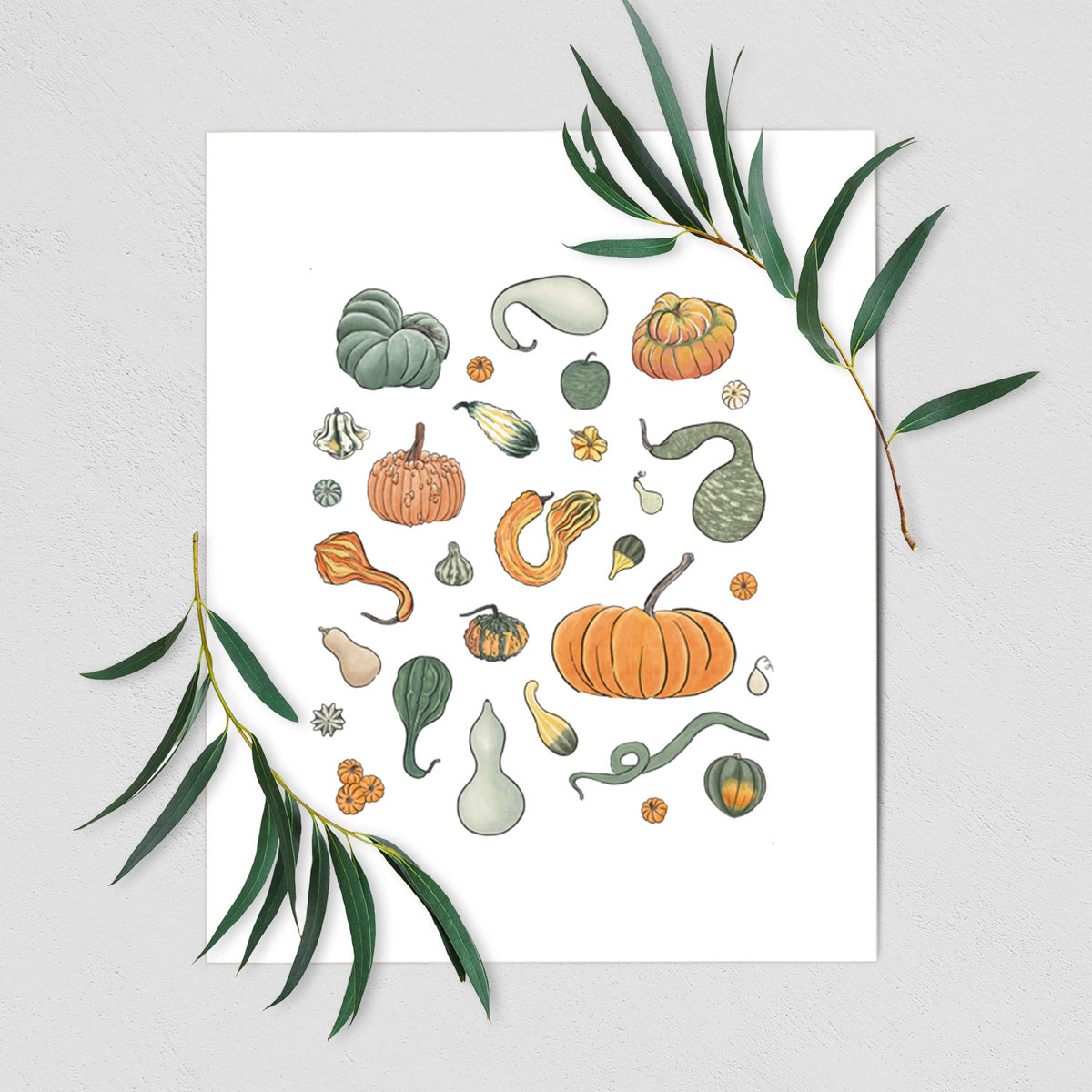 Pumpkin Patch Finds - Fine Art Print
