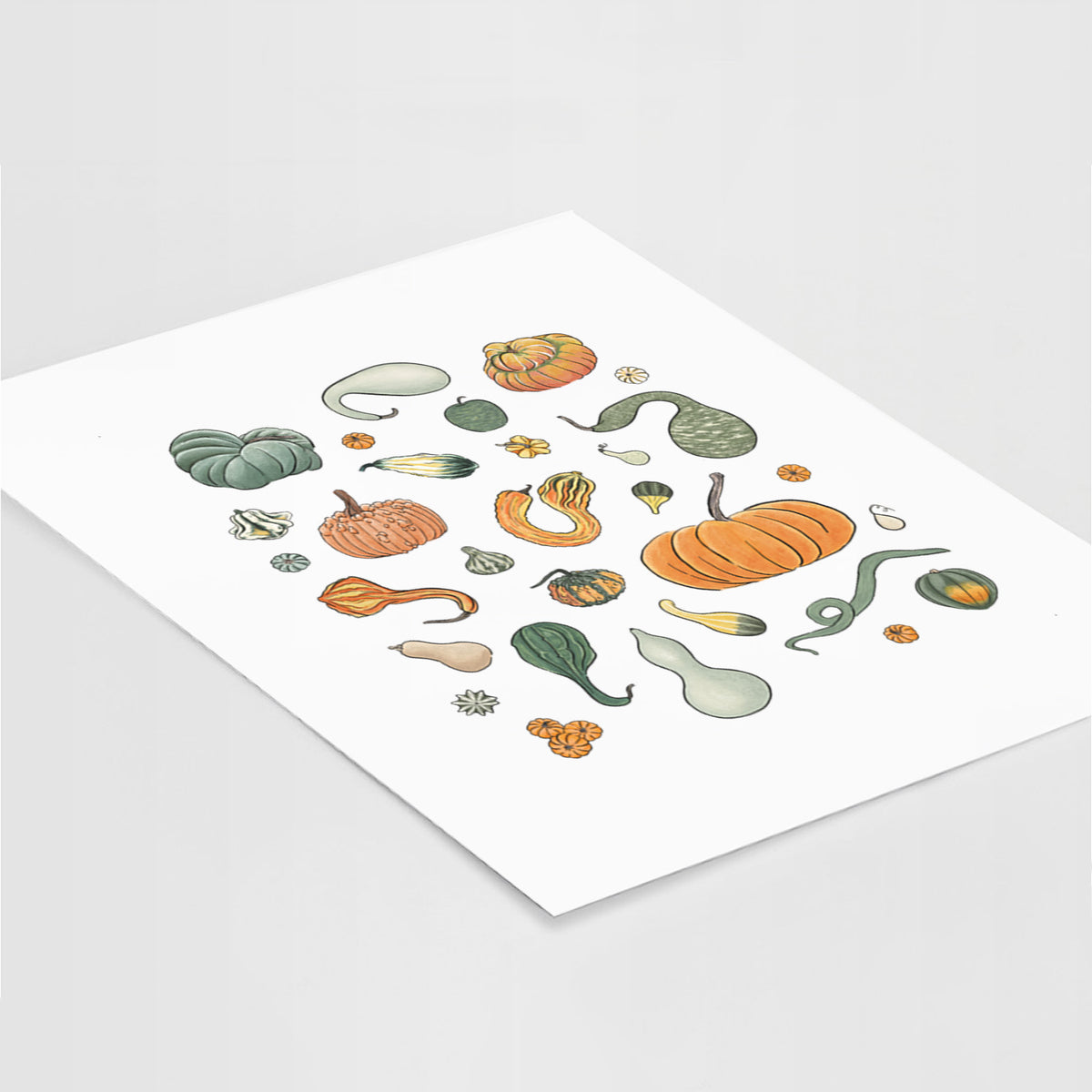 Pumpkin Patch Finds - Fine Art Print