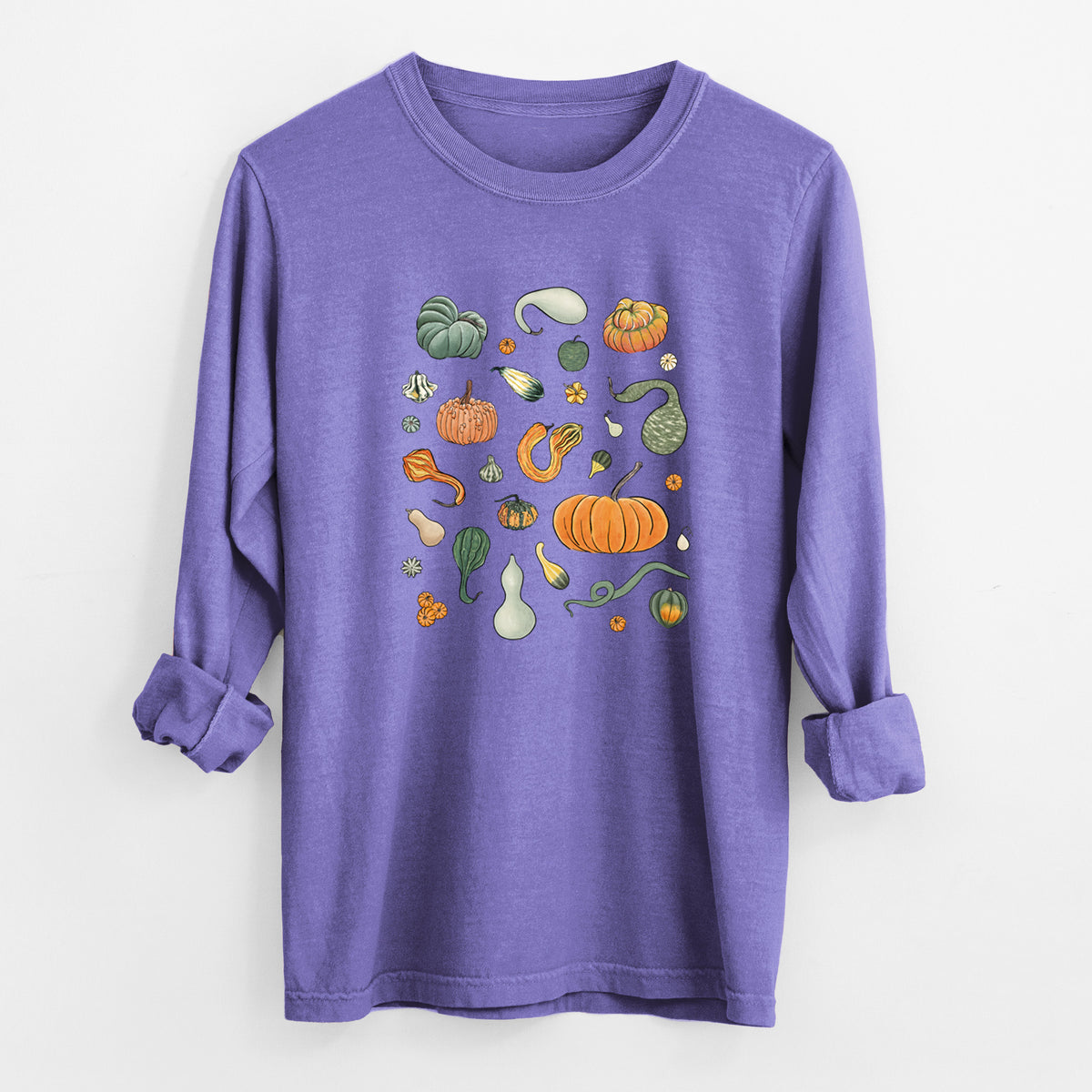 Pumpkin Patch Finds - Unisex Comfort Colors 100% Cotton Long Sleeve