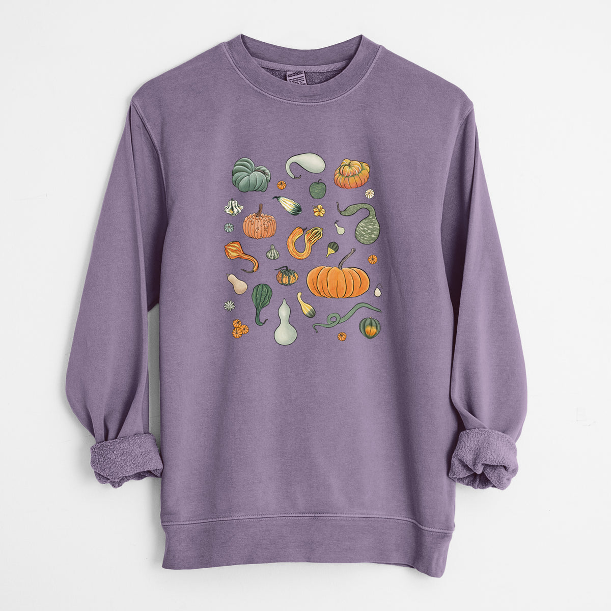 Pumpkin Patch Finds - Unisex Pigment Dyed Crew Sweatshirt