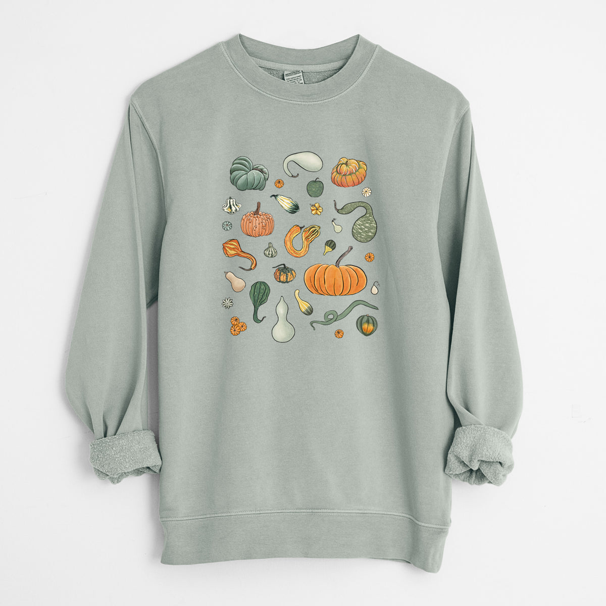 Pumpkin Patch Finds - Unisex Pigment Dyed Crew Sweatshirt