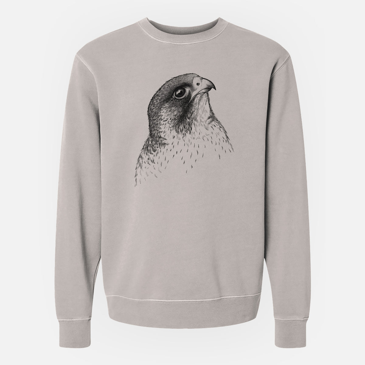 Peregrine Falcon - Falco peregrinus - Unisex Pigment Dyed Crew Sweatshirt