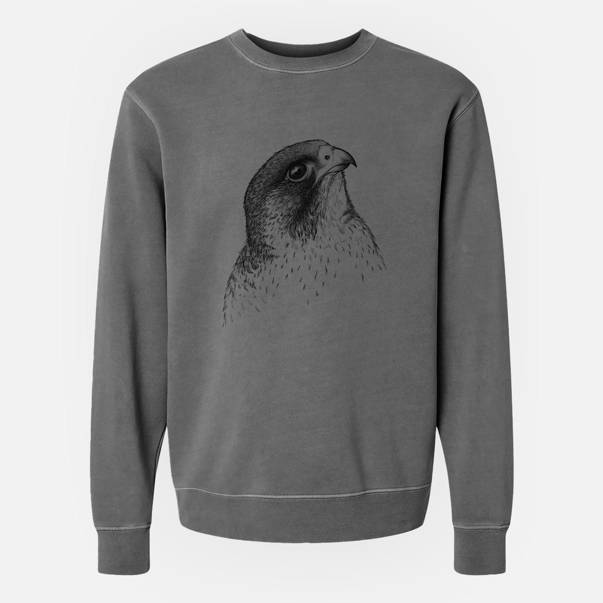 Peregrine Falcon - Falco peregrinus - Unisex Pigment Dyed Crew Sweatshirt