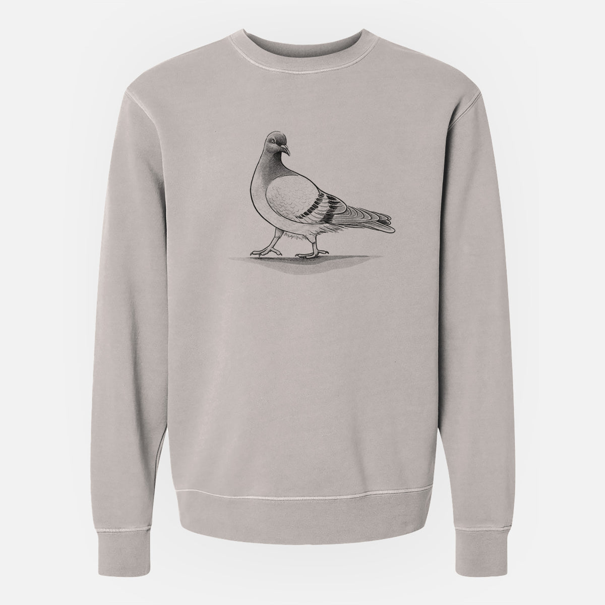 Pigeon / City Dove - Columba livia domestica - Unisex Pigment Dyed Crew Sweatshirt