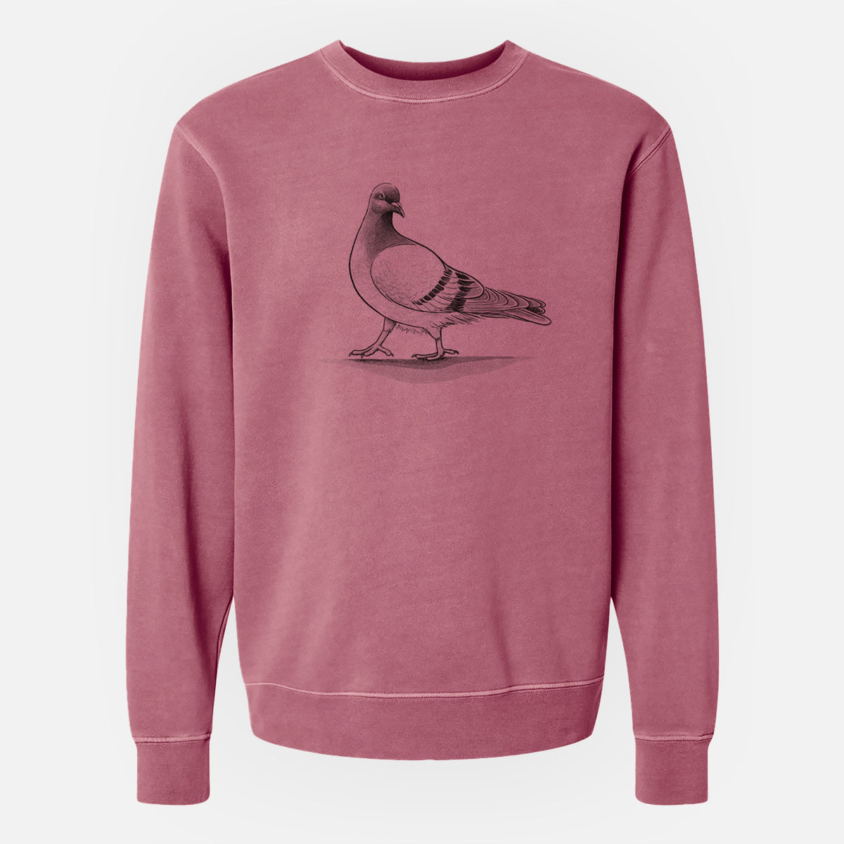 Pigeon / City Dove - Columba livia domestica - Unisex Pigment Dyed Crew Sweatshirt