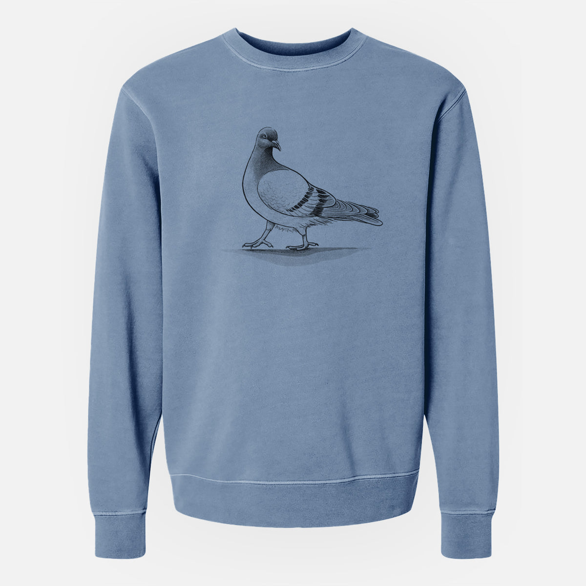 Pigeon / City Dove - Columba livia domestica - Unisex Pigment Dyed Crew Sweatshirt