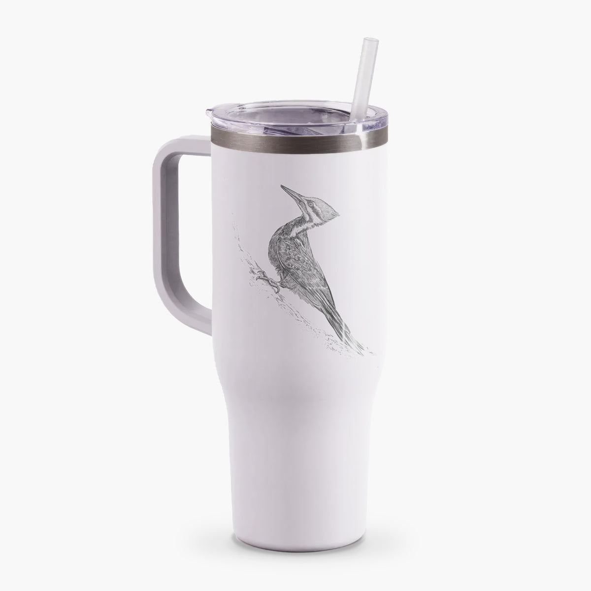 Pileated Woodpecker - Dryocopus pileatus - 40oz Tumbler with Handle