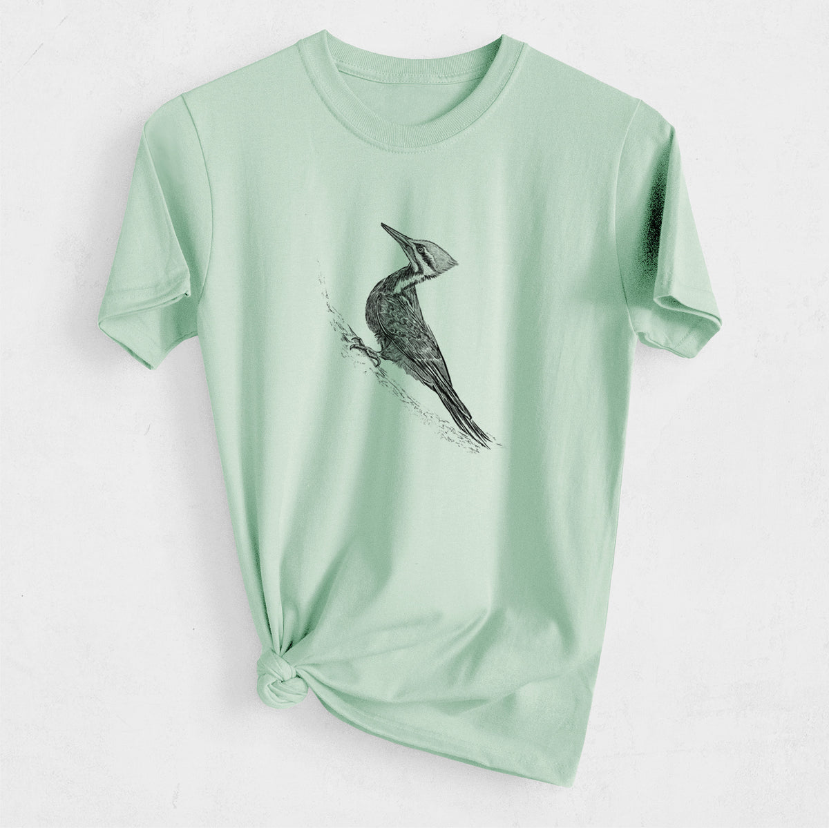 Pileated Woodpecker - Dryocopus pileatus - Heavyweight Men&#39;s 100% Organic Cotton Tee