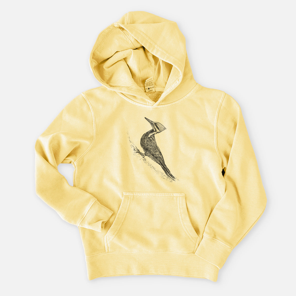 Pileated Woodpecker - Dryocopus pileatus - Youth Pigment Dyed Hoodie