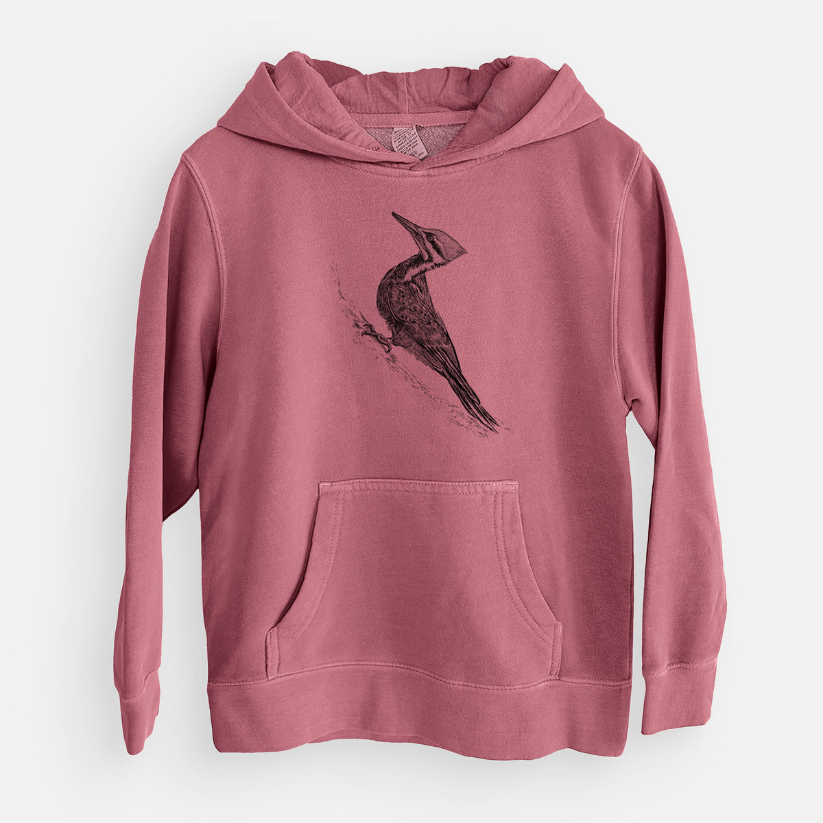 Pileated Woodpecker - Dryocopus pileatus - Youth Pigment Dyed Hoodie
