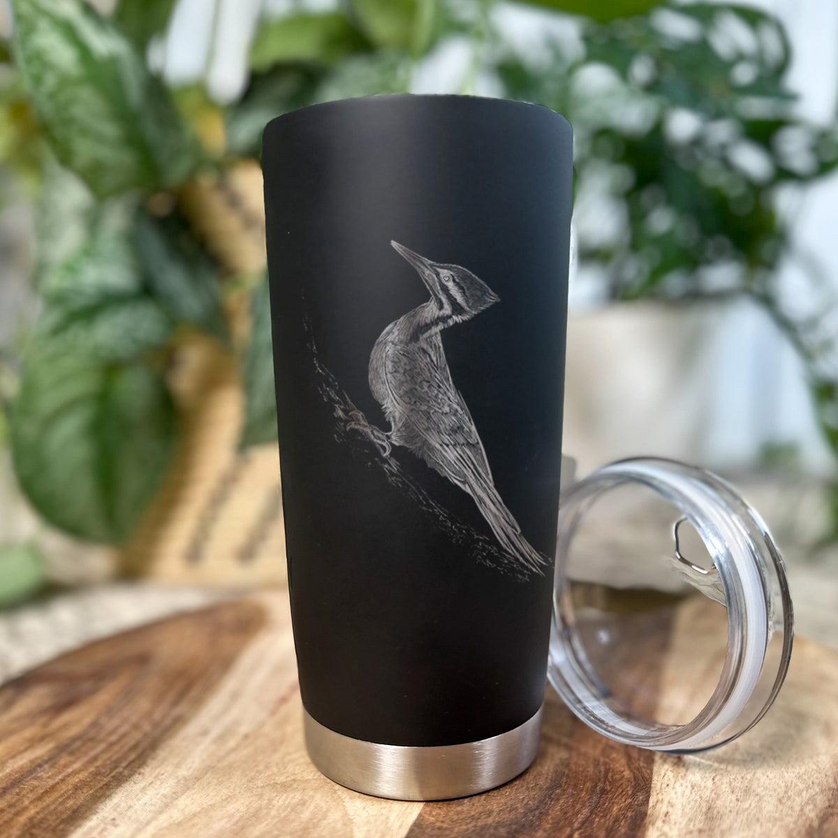 Pileated Woodpecker - Dryocopus pileatus - 20oz Polar Insulated Tumbler