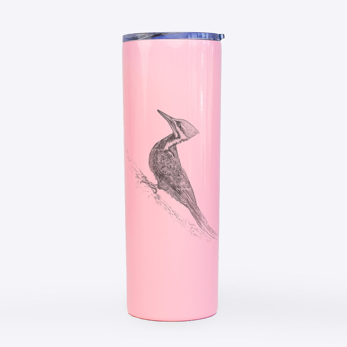 Pileated Woodpecker - Dryocopus pileatus - 20oz Skinny Tumbler