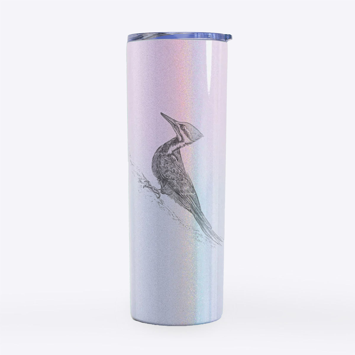 Pileated Woodpecker - Dryocopus pileatus - 20oz Skinny Tumbler