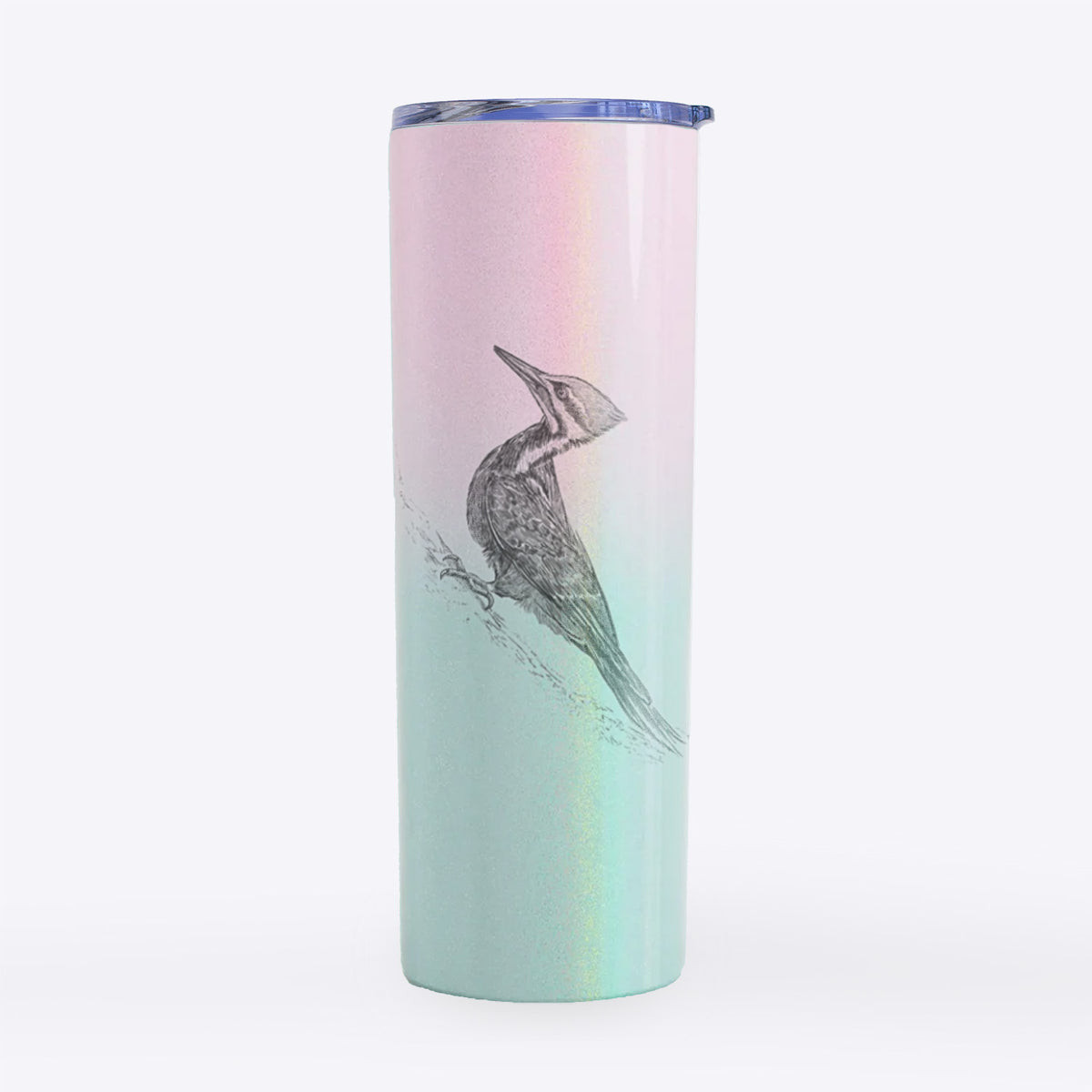 Pileated Woodpecker - Dryocopus pileatus - 20oz Skinny Tumbler