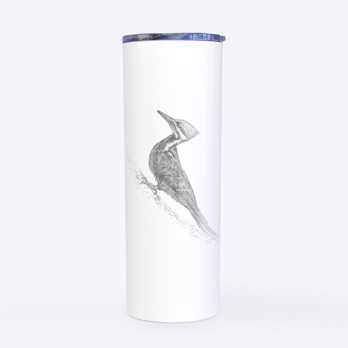 Pileated Woodpecker - Dryocopus pileatus - 20oz Skinny Tumbler