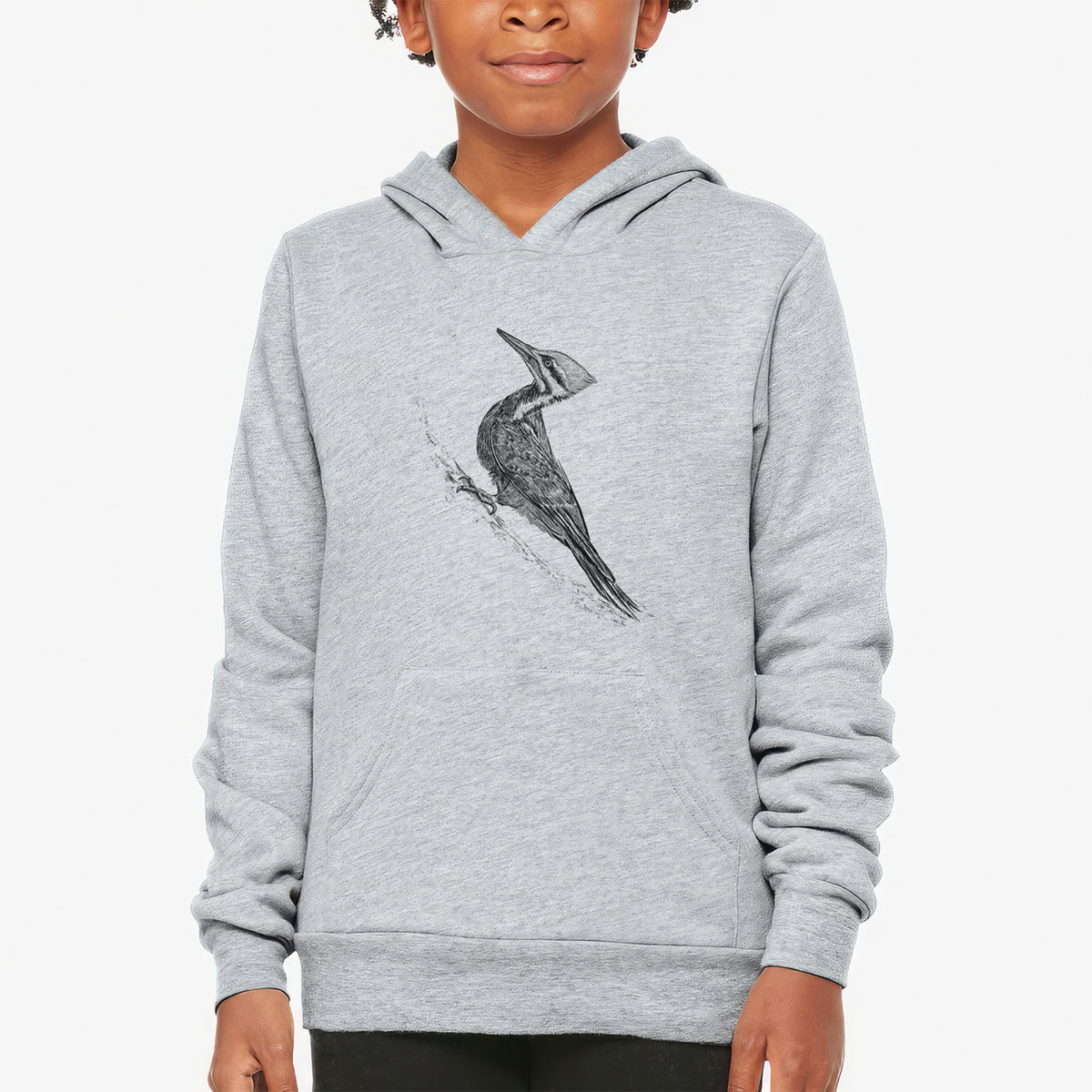 Pileated Woodpecker - Dryocopus pileatus - Youth Hoodie Sweatshirt