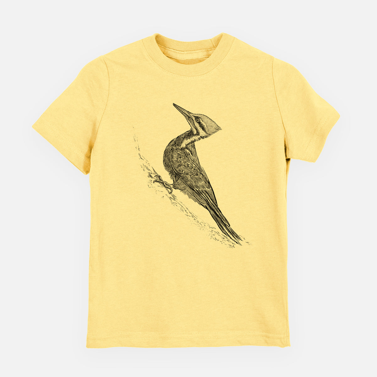 Pileated Woodpecker - Dryocopus pileatus - Youth Shirt