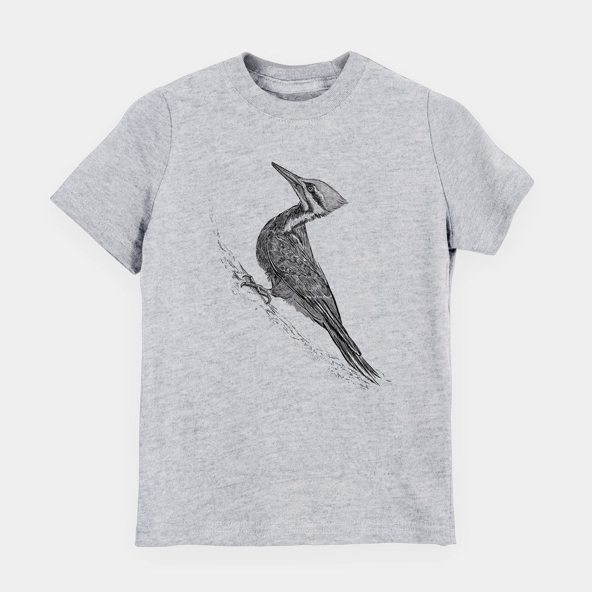 Pileated Woodpecker - Dryocopus pileatus - Youth Shirt