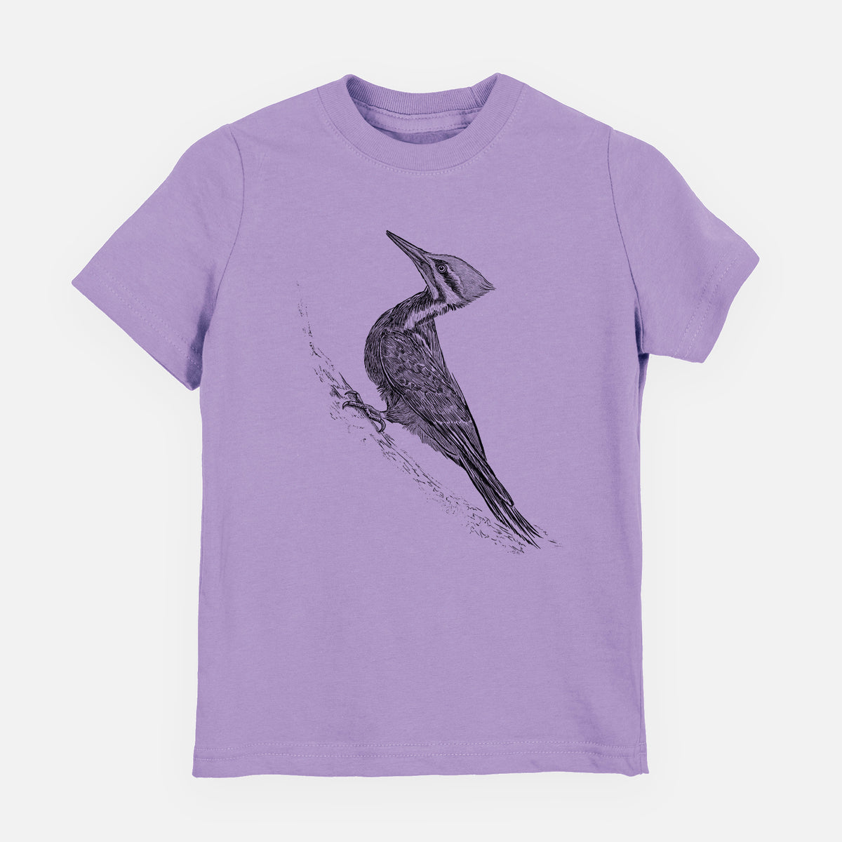 Pileated Woodpecker - Dryocopus pileatus - Youth Shirt