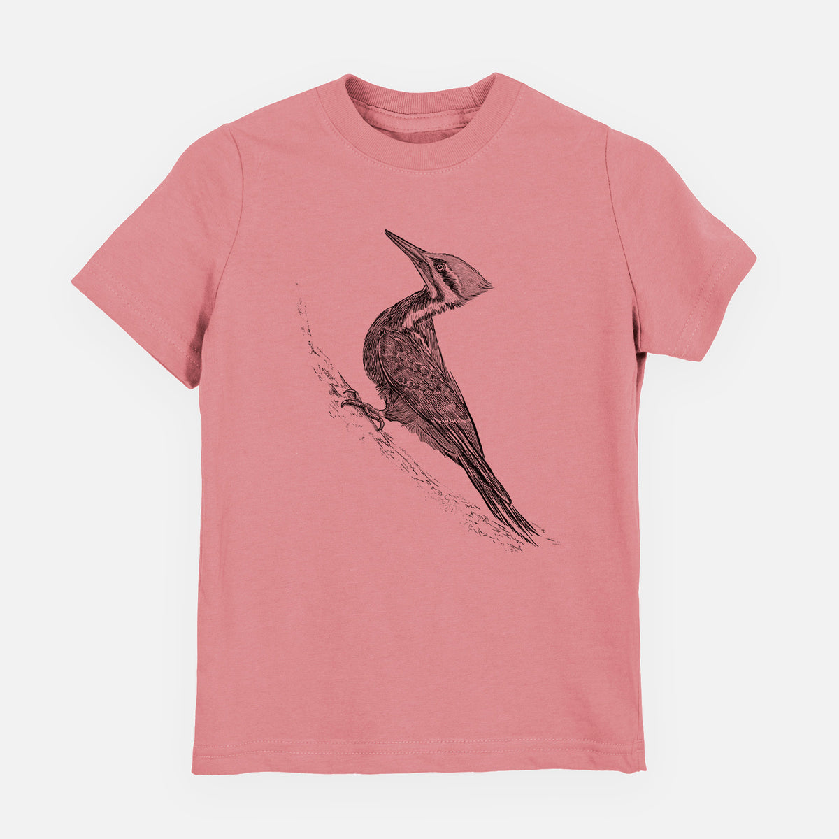 Pileated Woodpecker - Dryocopus pileatus - Youth Shirt