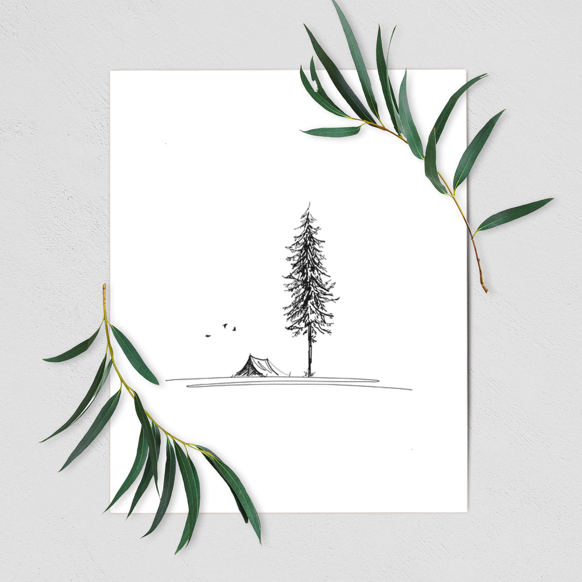 Pine Camp Vista - Fine Art Print