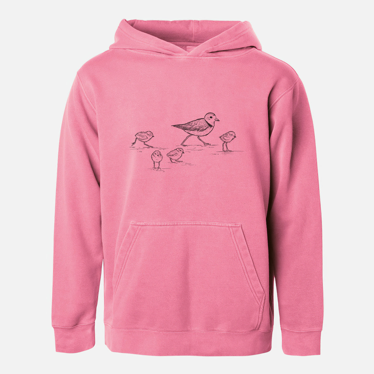 Piping Plovers - Charadrius melodus - Youth Pigment Dyed Hoodie