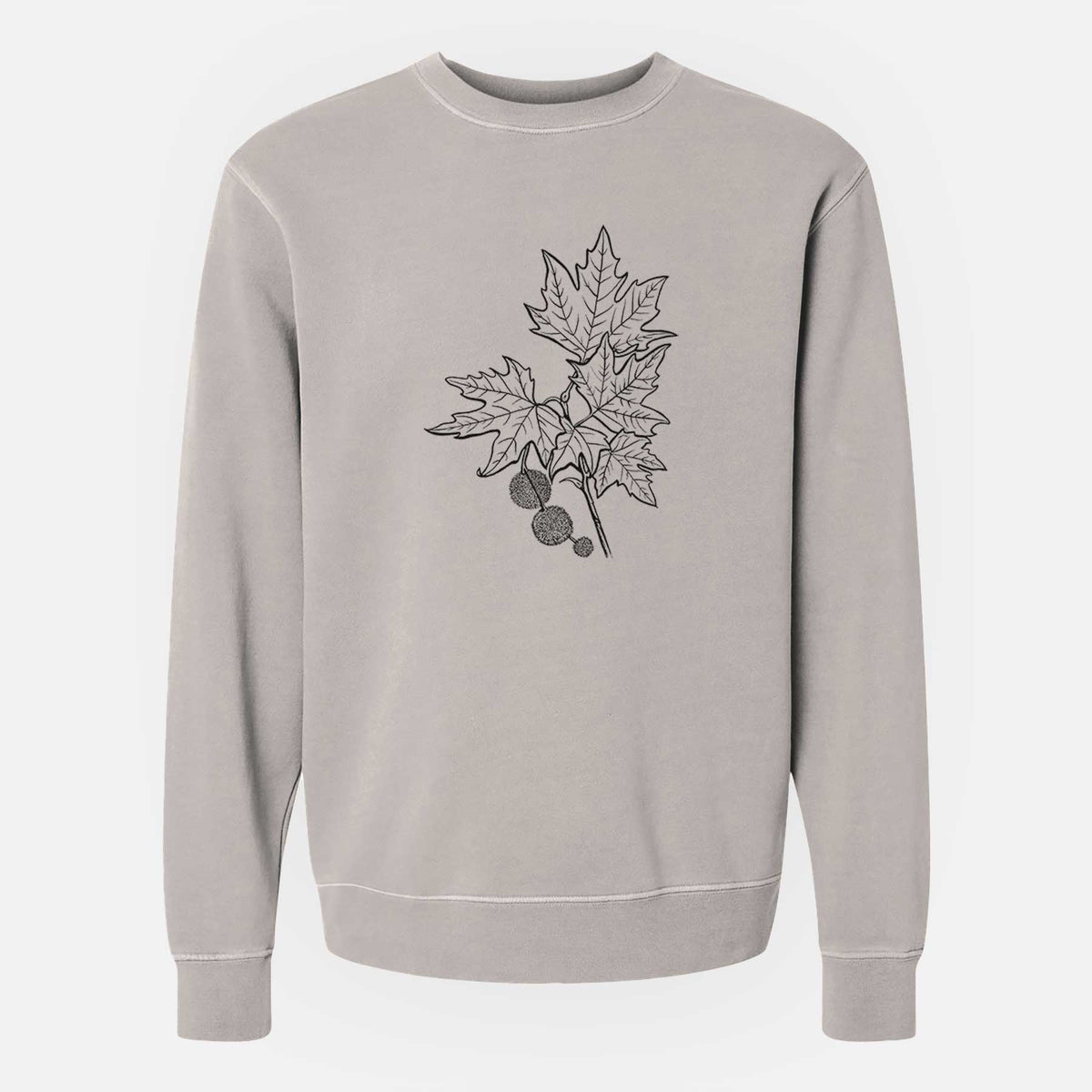 Platanus Orientalis - Oriental Plane Tree Stem with Leaves - Unisex Pigment Dyed Crew Sweatshirt