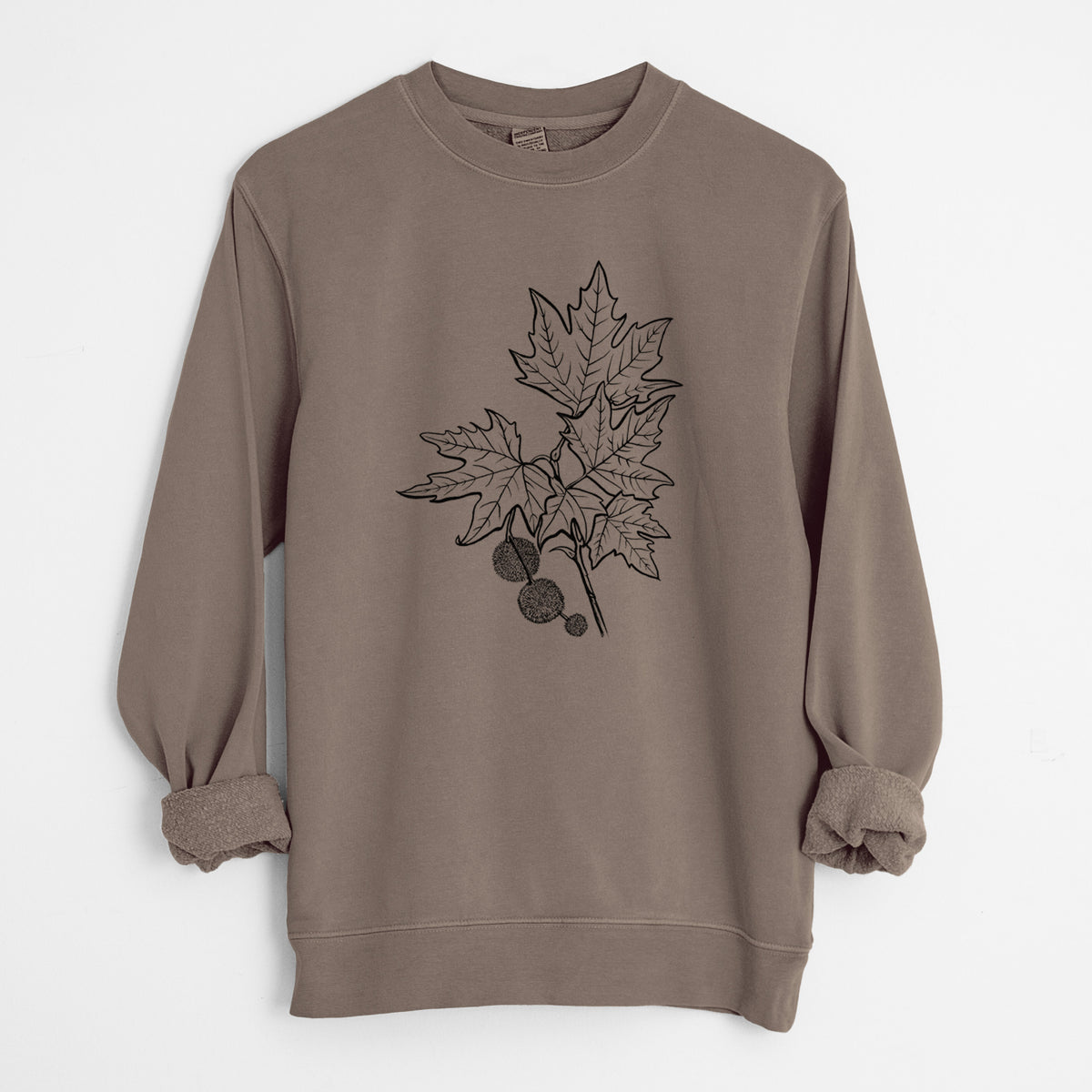 Platanus Orientalis - Oriental Plane Tree Stem with Leaves - Unisex Pigment Dyed Crew Sweatshirt in Espresso Brown Color