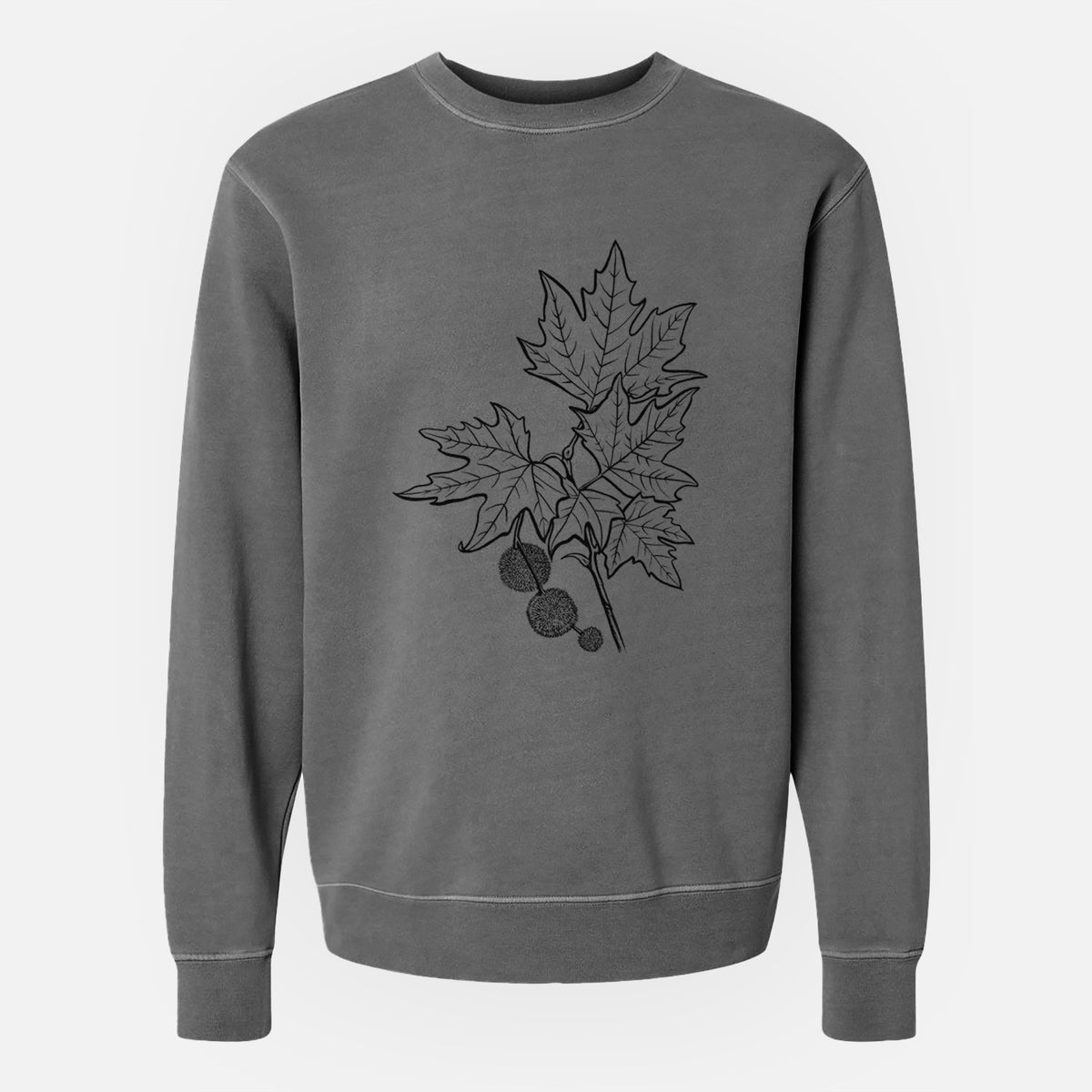 Platanus Orientalis - Oriental Plane Tree Stem with Leaves - Unisex Pigment Dyed Crew Sweatshirt