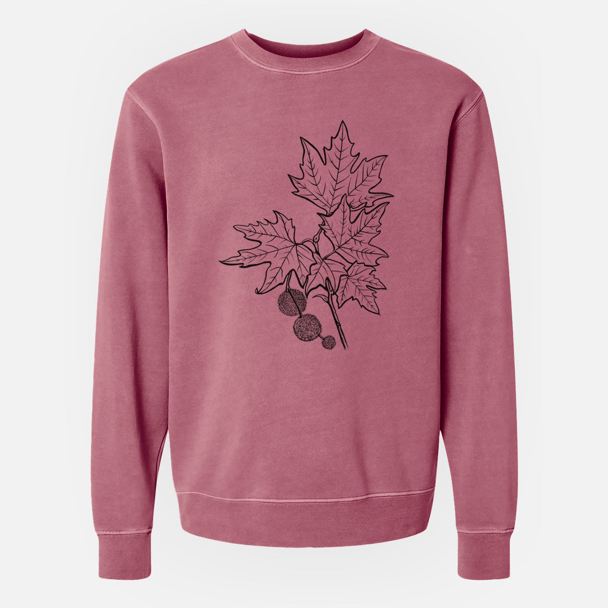 Platanus Orientalis - Oriental Plane Tree Stem with Leaves - Unisex Pigment Dyed Crew Sweatshirt