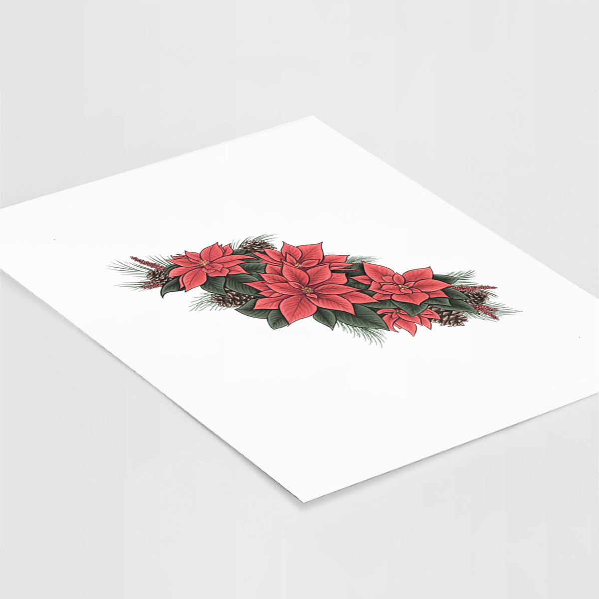 Winter Poinsettias - Euphorbia pulcherrima - Fine Art Print