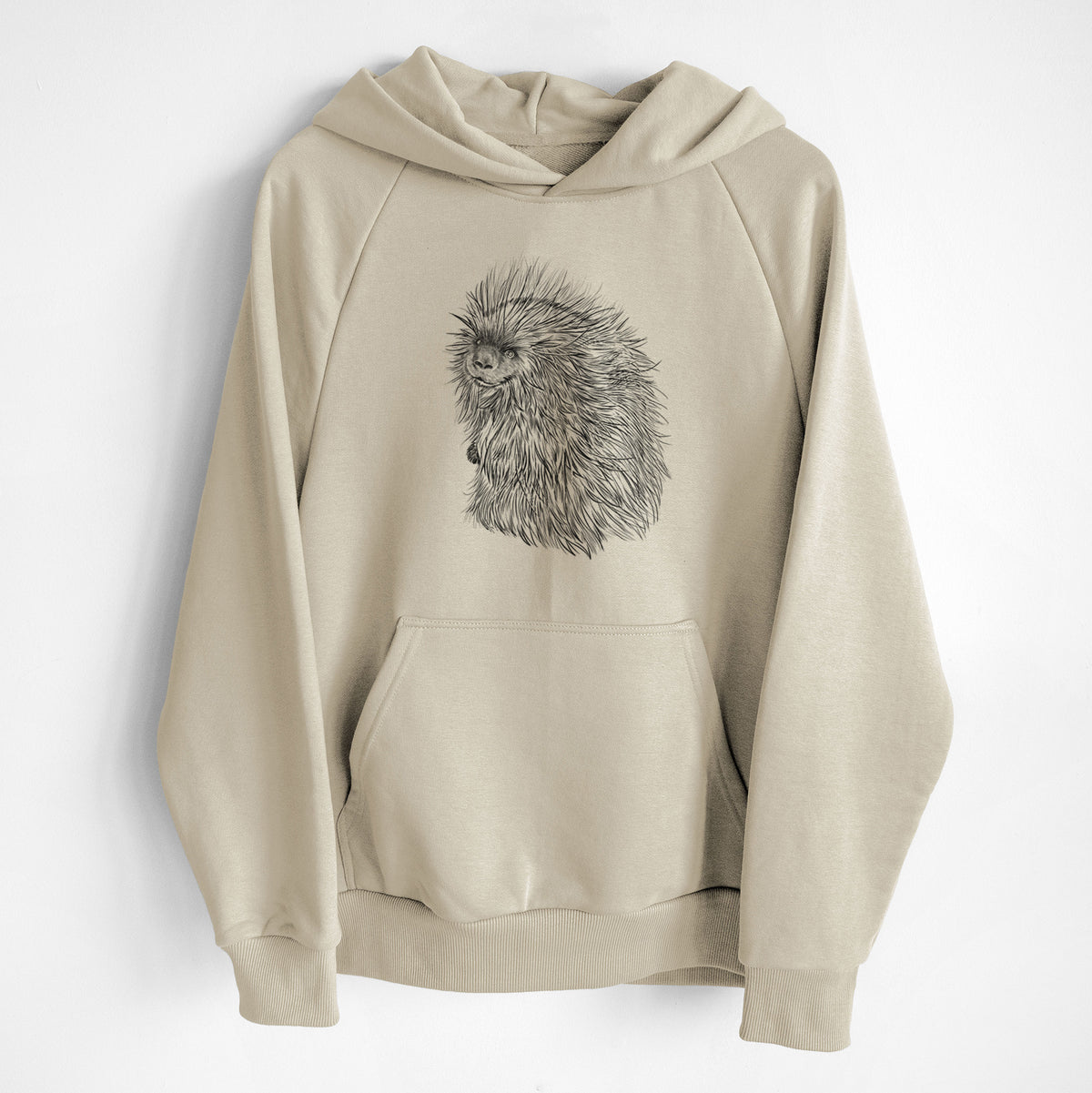 North American Porcupine - Erethizon dorsatum - UltraLuxe Heavyweight French Terry Hoodie