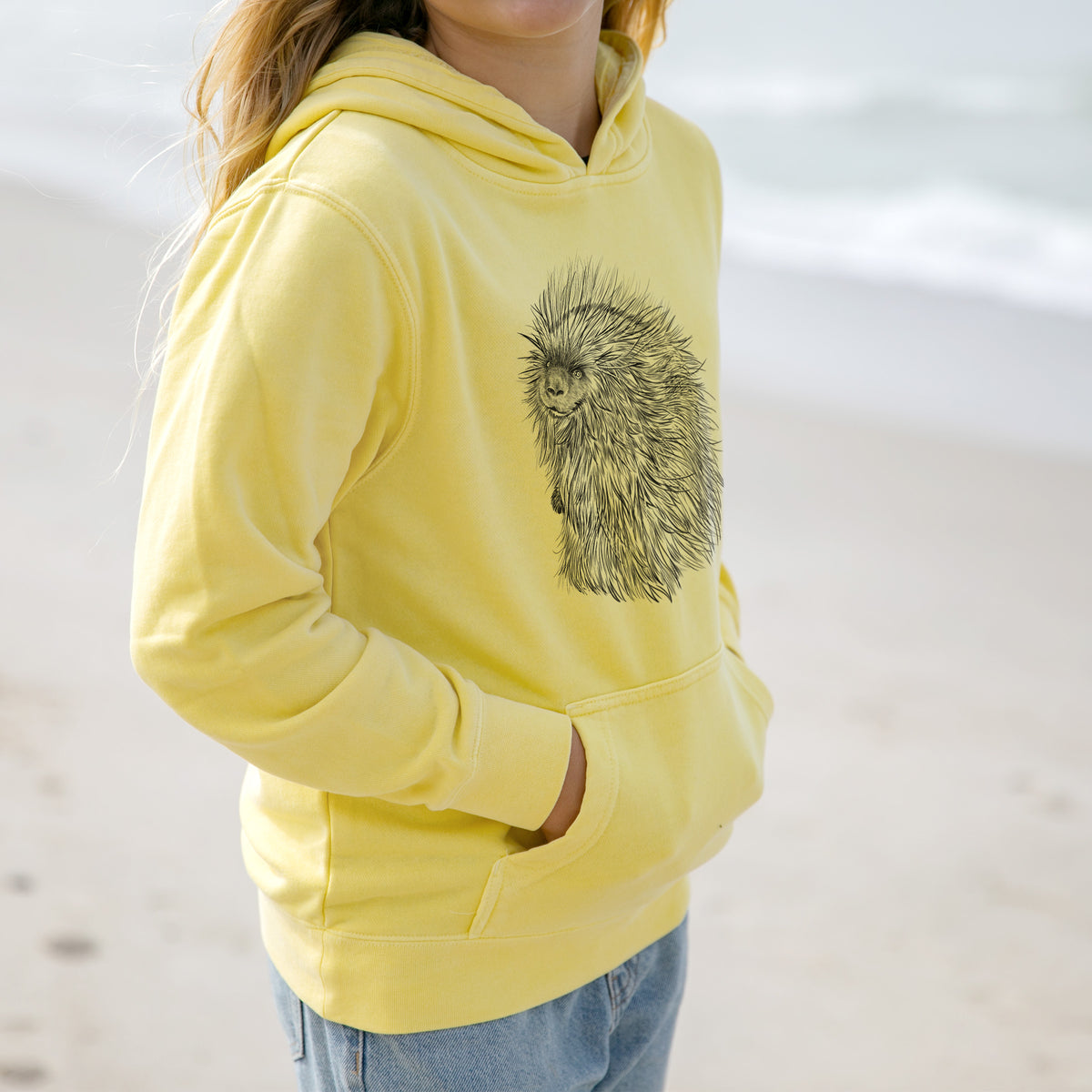 North American Porcupine - Erethizon dorsatum - Youth Pigment Dyed Hoodie