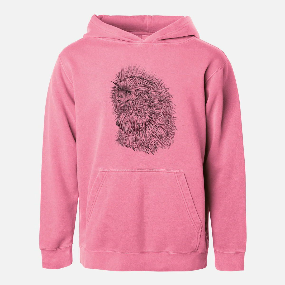 North American Porcupine - Erethizon dorsatum - Youth Pigment Dyed Hoodie