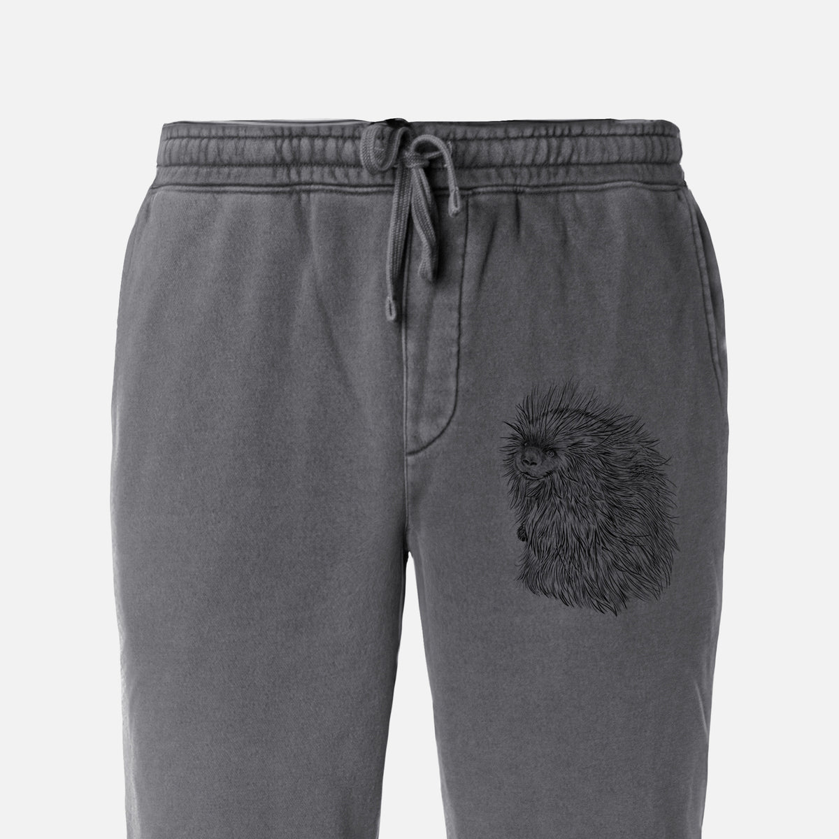 North American Porcupine - Erethizon dorsatum - Unisex Pigment Dyed Sweatpants