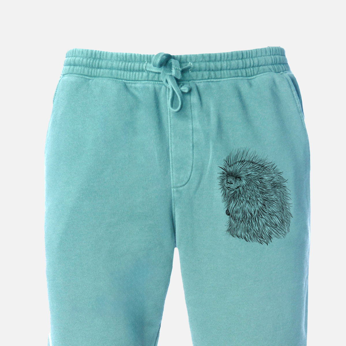 North American Porcupine - Erethizon dorsatum - Unisex Pigment Dyed Sweatpants