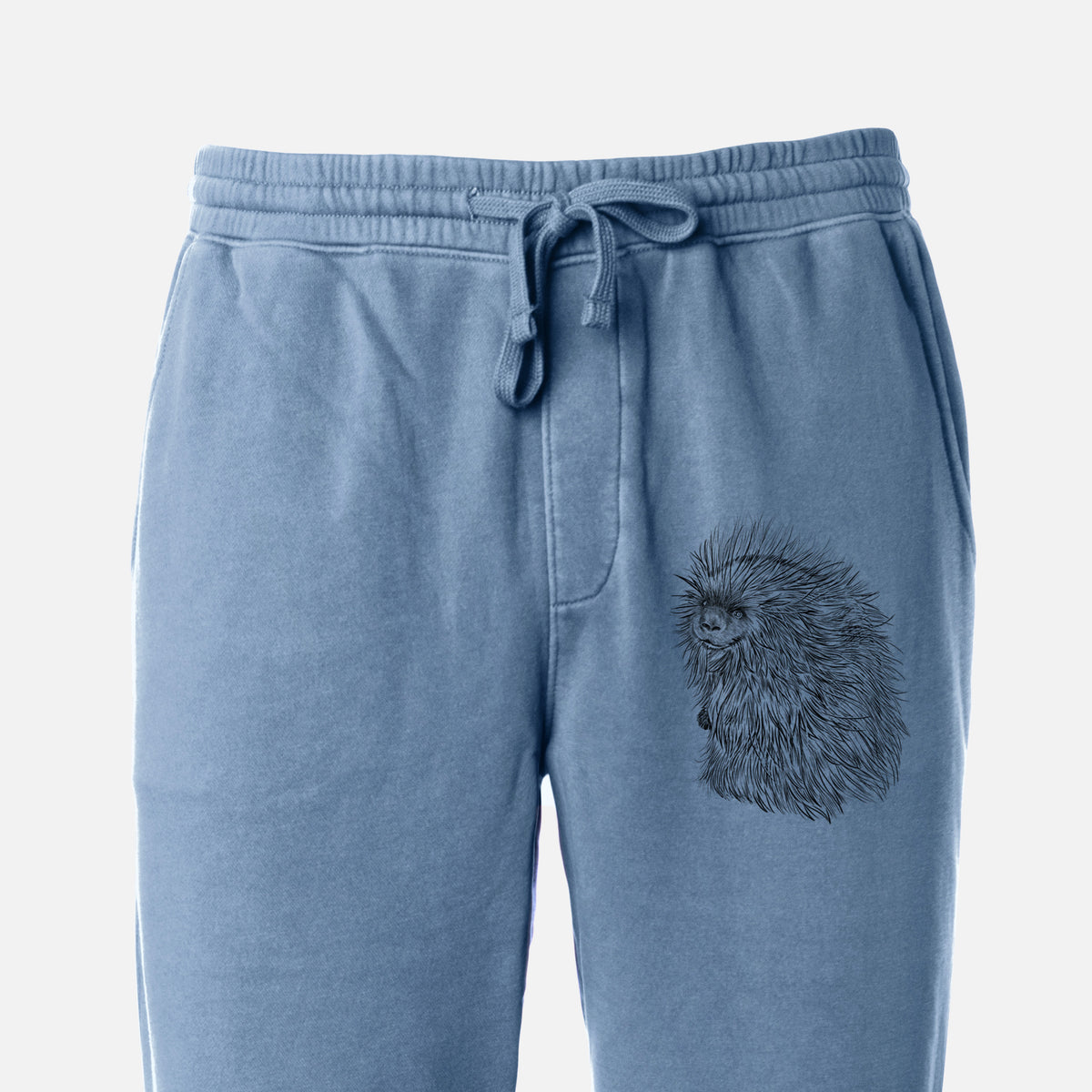 North American Porcupine - Erethizon dorsatum - Unisex Pigment Dyed Sweatpants